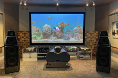 Sasha-V-Momentum-HD-Preamp-MXV-Mono