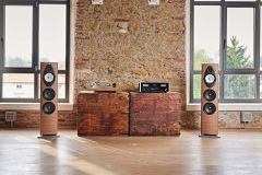 Sonetto-V-G2-Walnut-w-McIntosh-amp