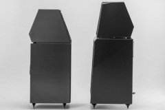 The-Watt-Puppy-Old-n-New-1