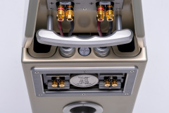 The-Watt-Puppy-back-angle-3